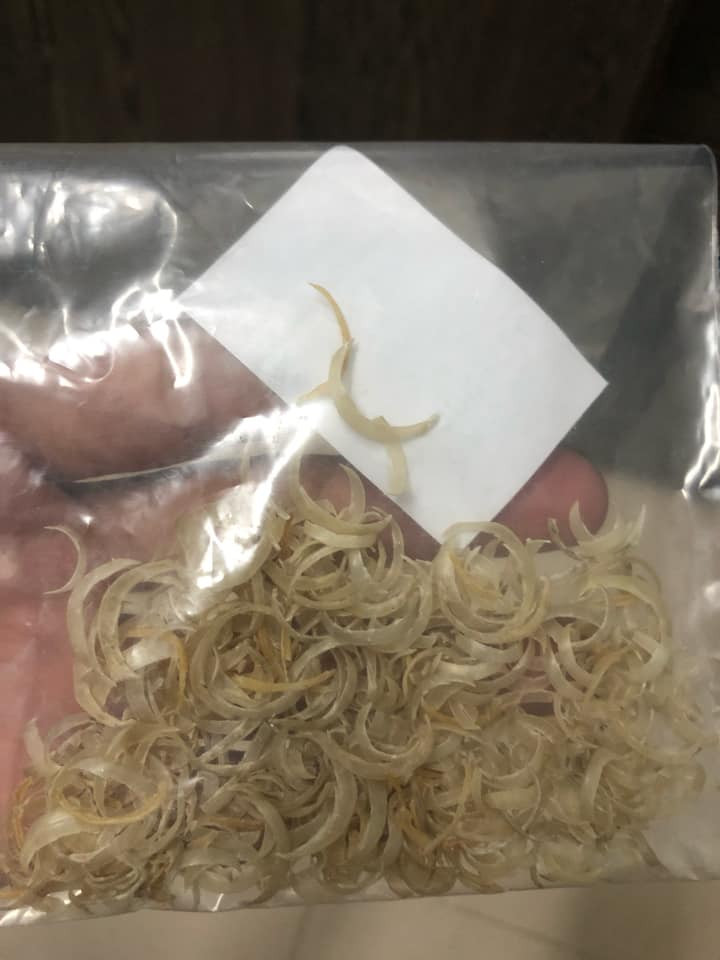 Tuy nhiên, nhiều bạn cho rằng, có vẻ như trong 5 năm, số lượng móng tay như vậy là khá ít thì phải.