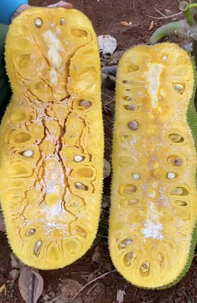 Không những vậy, anh ta còn có màn bổ mít ngay tại chỗ để dân mạng cùng chiêm ngưỡng bên trong.