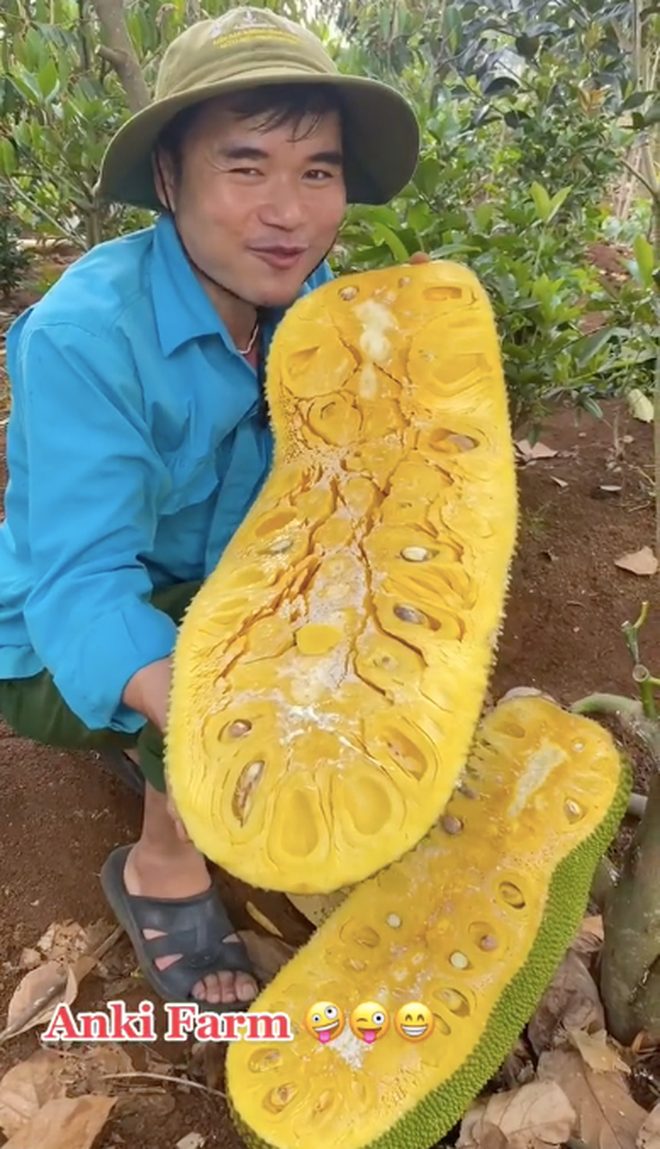 Như để khẳng định mít nhà mình trồng ngon, chàng trai thử lấy một múi ra ăn ngay tại chỗ.