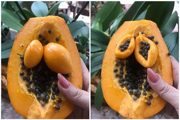 Bo qua du du, dan mang 