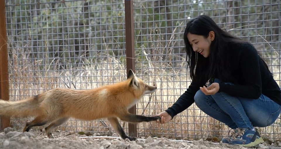 Tới đây thì nữ streamer thật sự cảm thấy khó chịu. Ngay trên kênh livestream, cô nàng cho rằng bản thân cảm thấy đang bị đối xử như một con khỉ trong vườn thú vậy. Cũng may sau khi từ chối và bỏ đi, cô nàng đã không còn bị quấy rầy nữa.