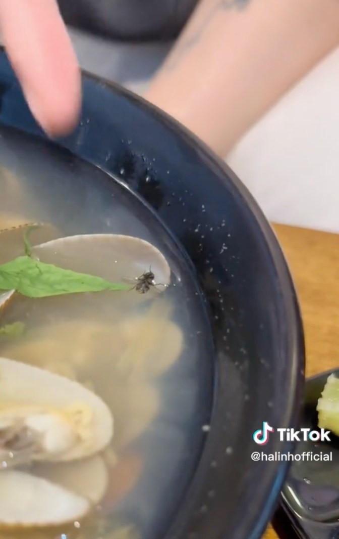 Cụ thể, trong đoạn clip mới nhất, "chiến thần review đồ ăn" bày tỏ: "Mình không muốn nói những điều tiêu cực nhưng bước vào quán buồn vô cùng. Nhân viên đưa cho mình 2 bát sò lụa mà con ruồi ngay đây. Cái thứ 2 mình đã phản ánh với nhân viên để đổi đó là đũa tại quán...