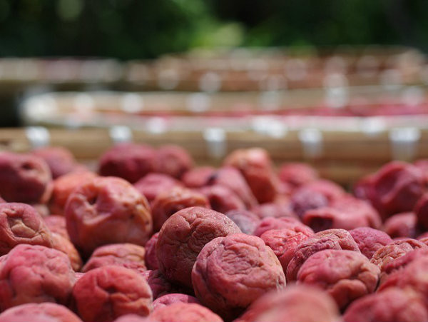 7 than duoc giup nguoi Nhat song lau-Hinh-5