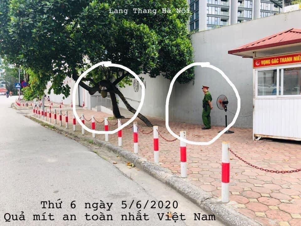 Cụ thể, trên fanpage quy tụ số đông dân mạng có bài viết với nội dung: "Tin buồn, năm nay cây mít an toàn nhất Việt Nam không ra quả nào..."