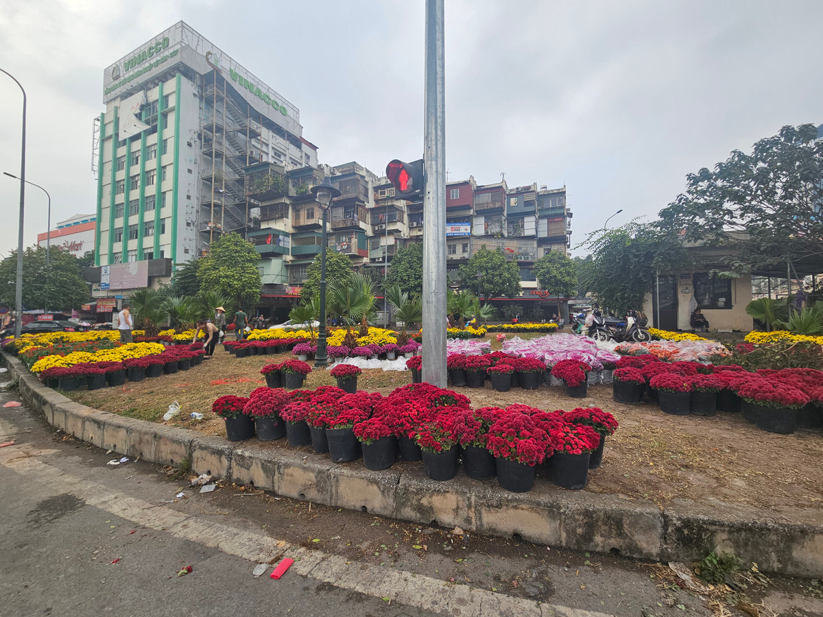 Những chậu hoa đủ mùa sắc đã sẵn sàng...