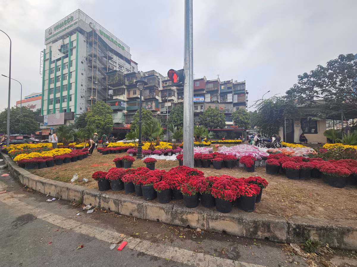 Những chậu hoa đủ mùa sắc đã sẵn sàng...