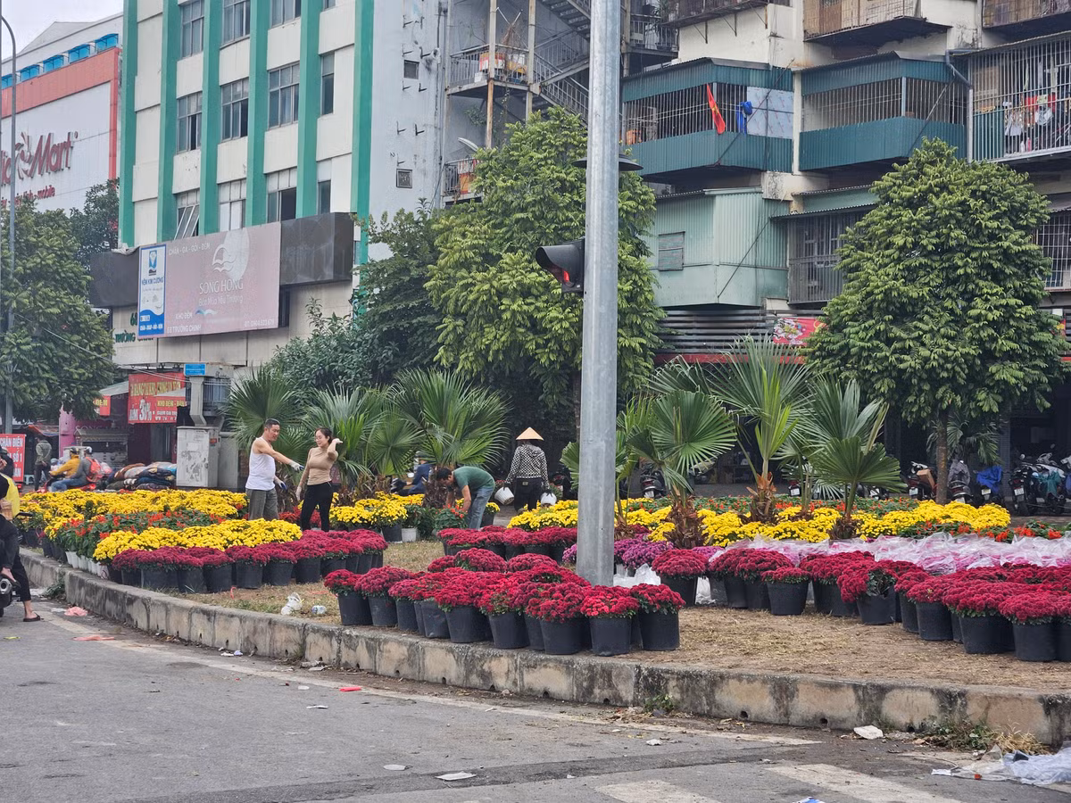 Những người dân sống xung quanh ngã tư này rất ủng hộ việc đặt hoa để xóa điểm rác đen.