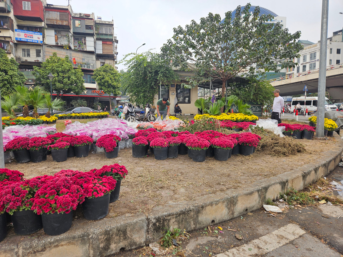 "Hy vọng kể từ sau khi có những chậu hoa đầy màu sắc này, mọi người sẽ giữ ý thức chung, đổ rác đúng nơi quy định để giữ cảnh quan chung của thành phố", nhân viên trực gác chắn tàu trên cho biết.