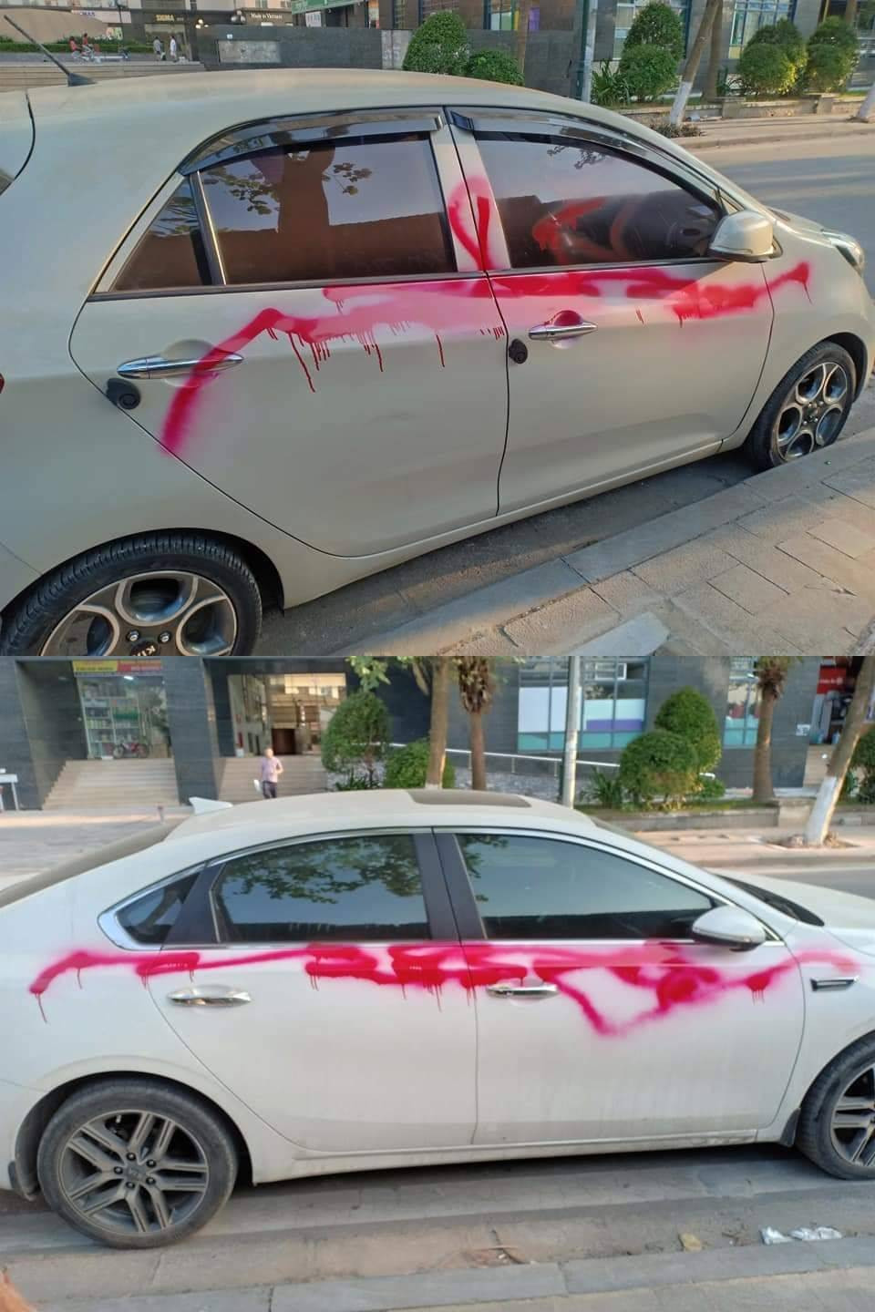 Thêm trường hợp bị vẽ sơn khiến người chủ chỉ biết xót của.