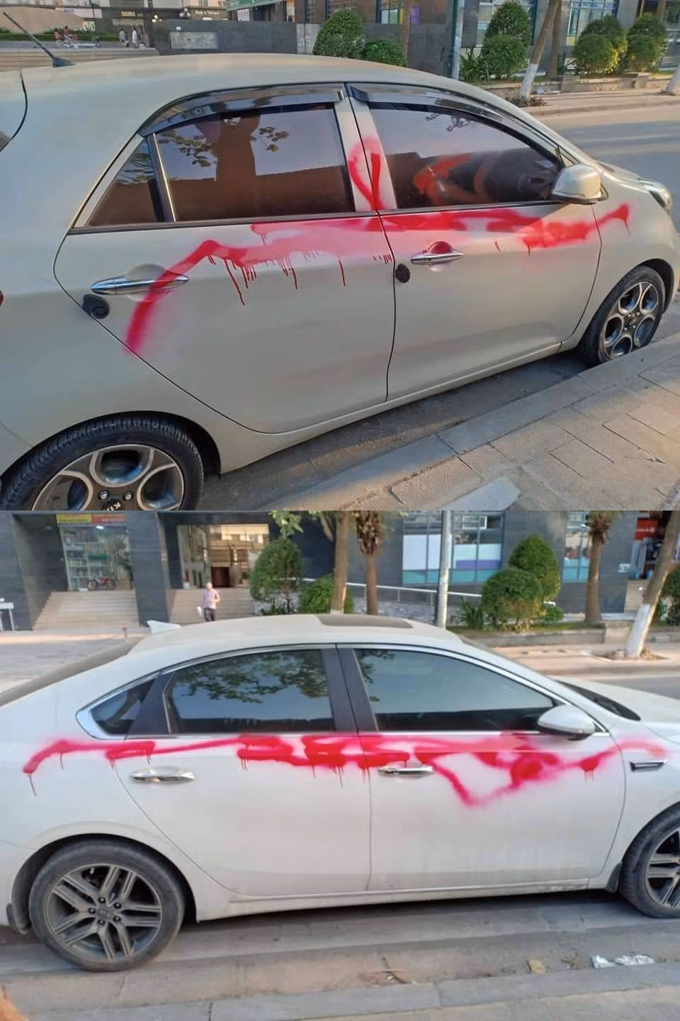 Thêm trường hợp bị vẽ sơn khiến người chủ chỉ biết xót của.