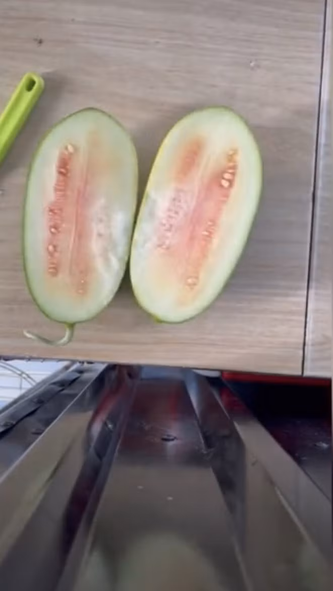 Trái dưa hấu vì còn quá non nên ruột trắng toát chứ chưa thể chín đỏ. Nhìn thành phẩm mà dân mạng ai cũng buồn cười.