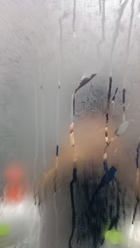 Hơi nước đọng trên sàn nhà, cửa kính là hiện tượng thường gặp ở kiểu thời tiết miền Bắc này.