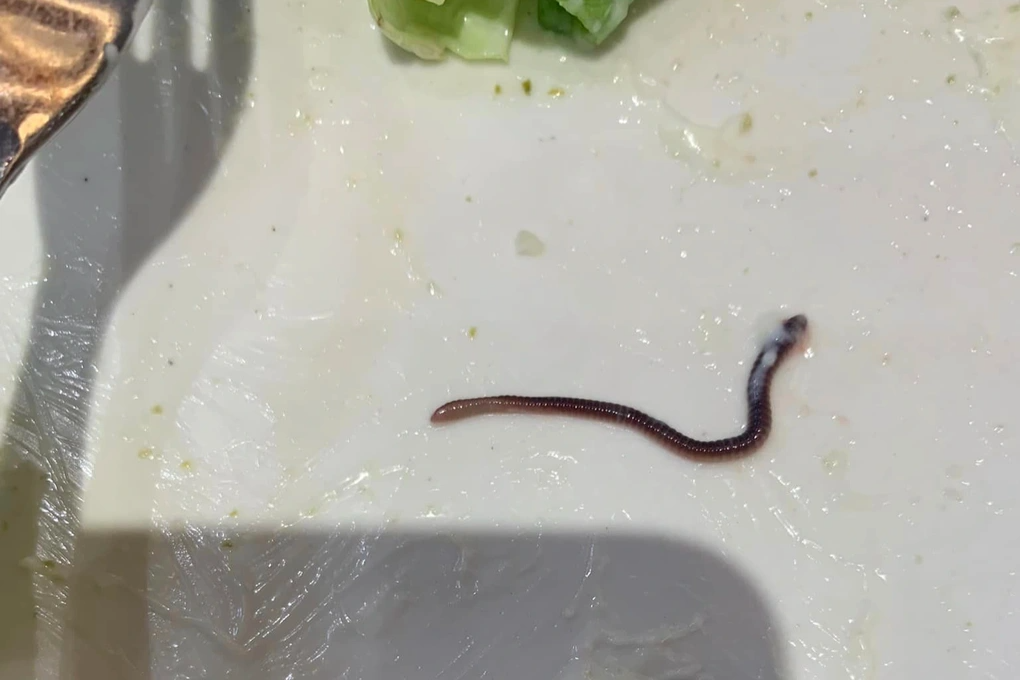 một số người cho rằng đây cũng là lý do khiến bản thân không bao giờ động đến rau sống, tiết canh, khi ăn bên ngoài.