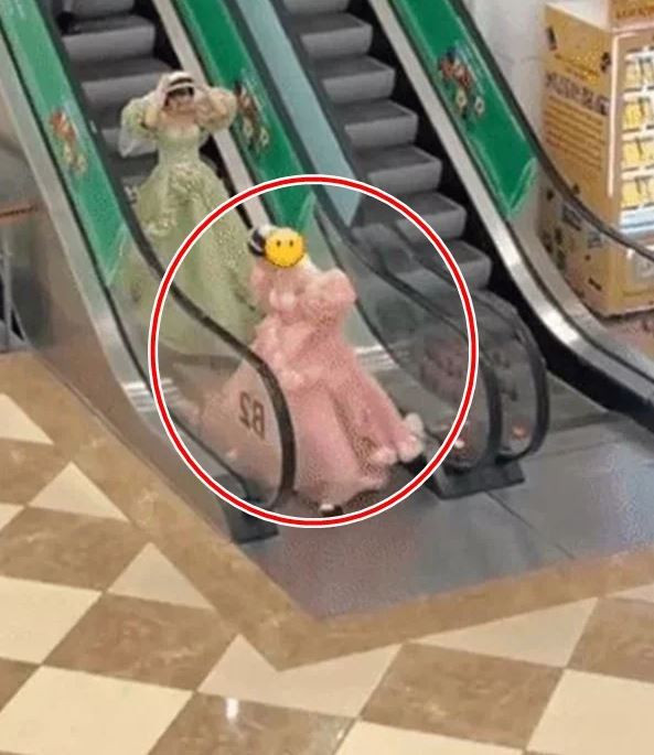 Theo đó, khi diện một chiếc đầm công chúa bồng bềnh nhưng lại đi thang cuốn mà không đi thang máy, chỉ trong một giây chính chủ bất cẩn, chiếc váy đã bị cuốn vào thang cuốn.