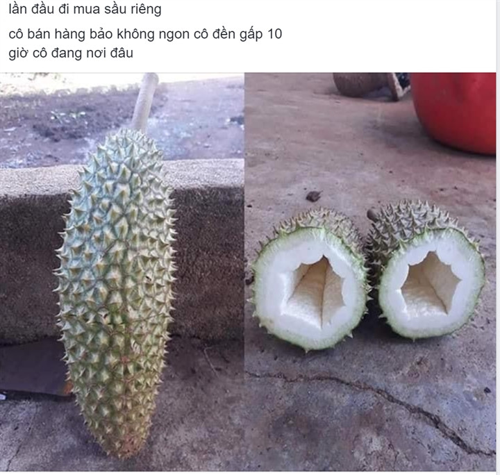 Chắc hẳn chủ nhân của quả sầu riêng này đã khóc rất nhiều khi bổ nó ra vì thứ bên trong chẳng khác gì ruột đu đủ.
