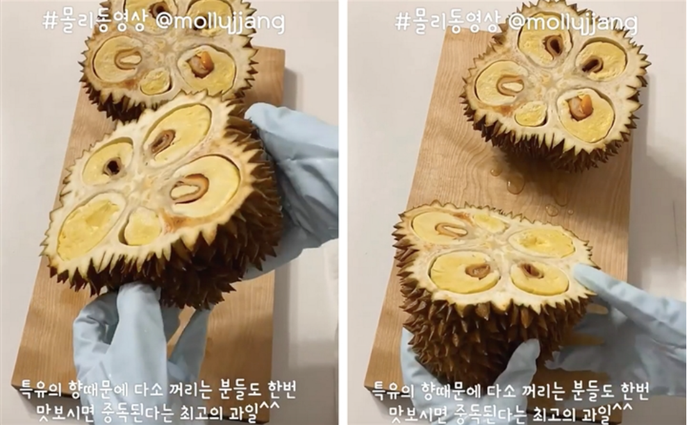 Màn bổ sầu riêng chẳng khác gì bổ mít của những người bạn đến từ Hàn Quốc.