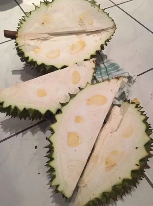 Quả này có vẻ khá khẩm hơn khi vẫn còn thấy nhú một vài hạt. Mặc dù nhìn ngang nhìn dọc thì cũng hiểu rằng chẳng thể ăn được.