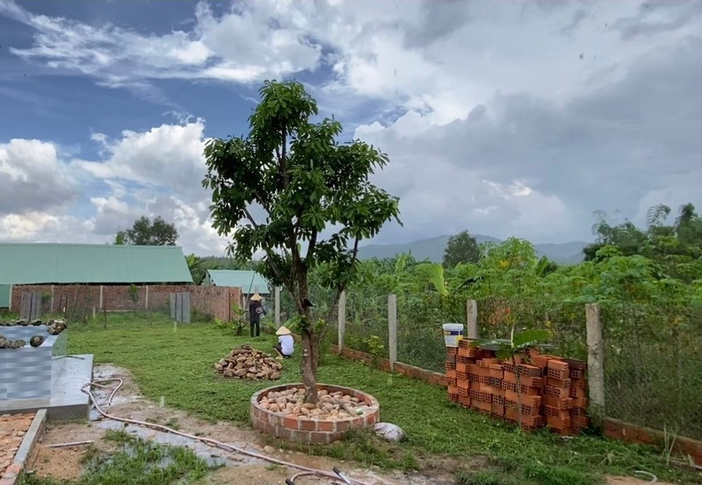 Chiếc kệ tủ trang trí được hai vợ chồng đặt riêng ship từ Hà Nội vào Bình Định. Anh chàng cũng trang trí một số chậu cây cảnh để căn nhà thêm xanh mát hơn.