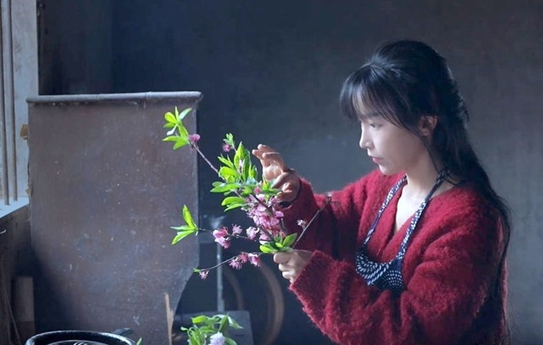 Đồng nghĩa, giám đốc điều hành và cổ đông lớn đều từ Lý Giai Giai thành Lý Tử Thất.