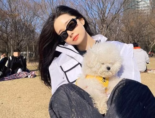 Chưa dừng lại, Song Ji A còn lập hai tài khoản chuyên chia sẻ hình ảnh hai chú chó của mình.