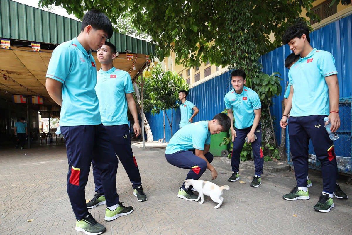 Ảnh sử dụng trong bài: Tổng hợp.