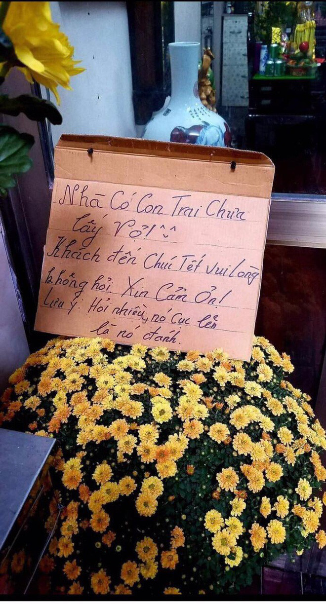 Nhiều bình luận bày tỏ sự ngưỡng mộ với cô cháu gái có người bà vô cùng tâm lý, đáng yêu, hiểu rõ các “cậu ấm cô chiêu” nhà mình.