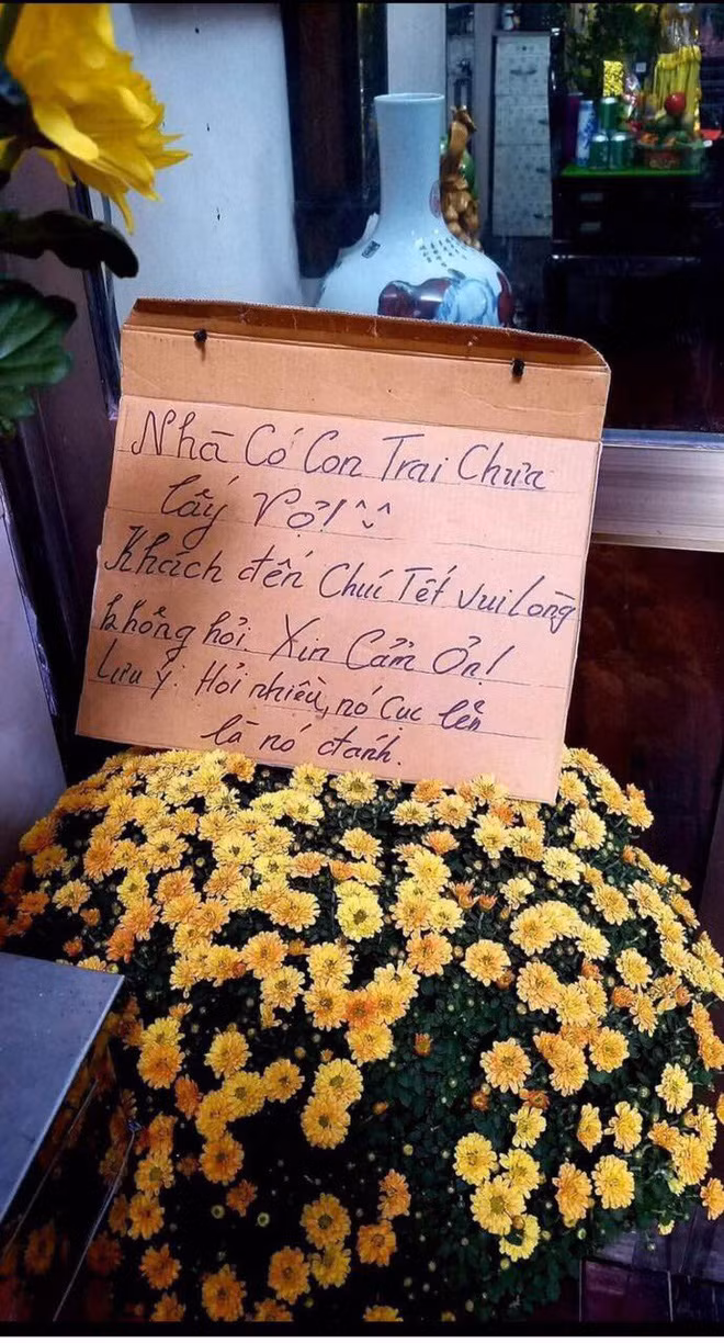 Nhiều bình luận bày tỏ sự ngưỡng mộ với cô cháu gái có người bà vô cùng tâm lý, đáng yêu, hiểu rõ các “cậu ấm cô chiêu” nhà mình.