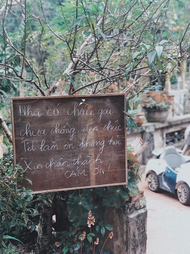 Màn cà khịa cháu gái bắt trend và siêu dễ thương của bà ngoại khiến cư dân mạng phát cuồng.