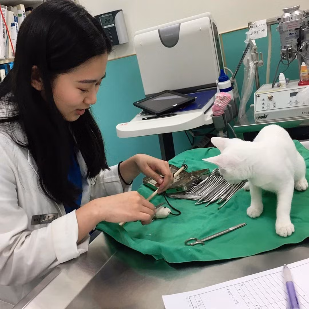 Đứng trước nhan sắc của Huang Roxi, thậm chí nhiều anh chàng còn công khai ý định được đổi vai cho các chú cún, mèo trong vòng tay cô.