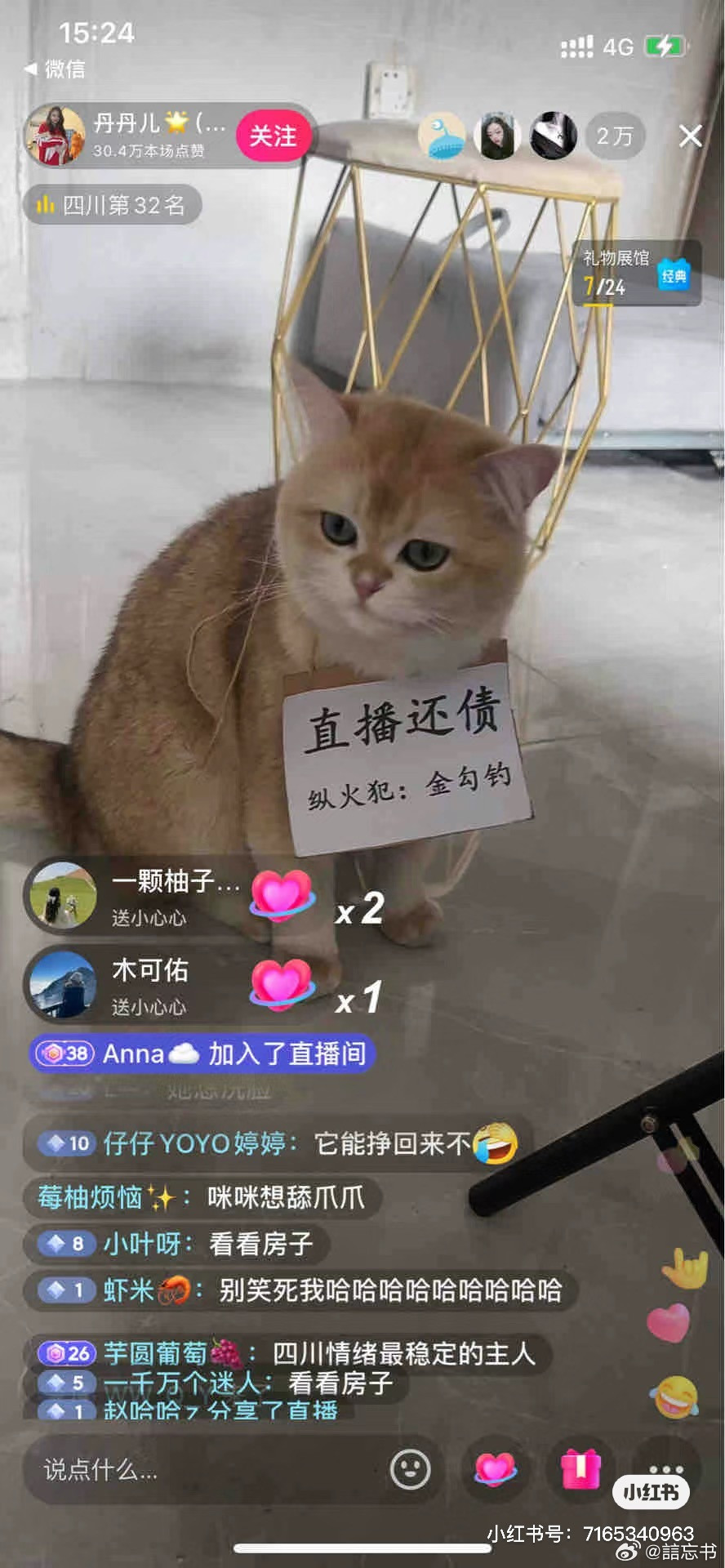 Kim Câu Điếu ngồi lì mặt trong khi chủ cho đeo tấm bảng "livestream trả nợ" và phát video lên mạng.