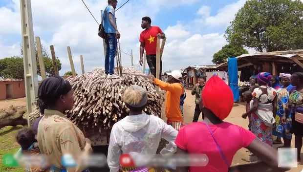 Quang Linh cũng lạc quan vì mưa đã khiến các đọt mía tự lên, nhú mầm tốt dù họ chưa chăm sóc nhiều. Thêm vào đó, mùa mưa cũng là lúc hiếm mía, do các trang trại bung hết hàng vào mùa khô.