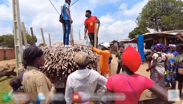 Quang Linh cũng lạc quan vì mưa đã khiến các đọt mía tự lên, nhú mầm tốt dù họ chưa chăm sóc nhiều. Thêm vào đó, mùa mưa cũng là lúc hiếm mía, do các trang trại bung hết hàng vào mùa khô.