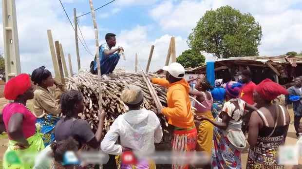 "Làm nông thì phải tính toán các công việc, việc gì làm trước việc gì làm sau mới có hiệu quả, không mất công mọi người ạ", Quang Linh phân trần. Anh chàng cũng cứ xuýt xoa mãi, tiếc đám đọt mía không đem tận dụng làm thức ăn cho bò được, vì 1 tháng nữa trang trại mới đón bò về.