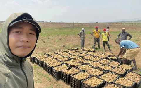 Lần này, mấy anh chàng trợ lý người Việt của Quang Linh không ra chợ bán, thay vào đó, Lindo được giao nhiệm vụ này.