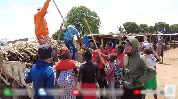 Quang Linh chờ thời điểm ngoài chợ không có mới thu hoạch, vừa hy vọng được giá, vừa tranh thủ thời tiết để trồng loạt cây mới.