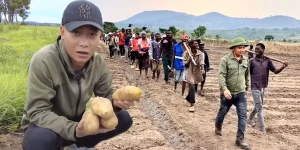 Đúng như dự đoán, cả chợ có mỗi xe của team Quang Linh bán mía. Vừa nhìn thấy xe đến, các thương lái trong chợ đã nhào đến hỏi giá. Cảnh buôn bán tấp nập rất vui mắt. Lindo chịu trách nhiệm giao dịch với thương lái, còn các anh em khác đi cùng sẽ lấy mía và kiểm soát việc thanh toán.