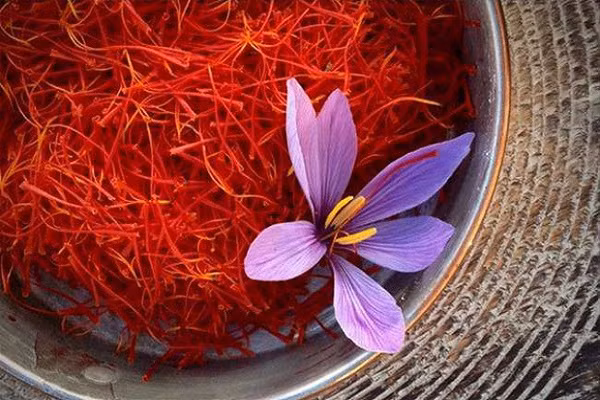 3 loai gia vi hiem nhat the gioi, Viet Nam da trong thanh cong ca 3