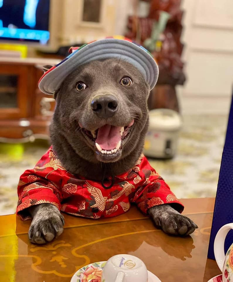 Và hàng loạt ảnh lúc lớn của idol Dúi cũng được dân mạng khui ra làm tâm điểm.