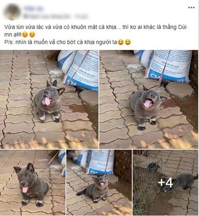 Chứng kiến những hình ảnh mới nhất của Dúi, nhiều fan để lại bình luận: "Idol giờ đã khác, quả mặt quá giang hồ" hay "Ngôi sao của làng truyền thông đây rồi".