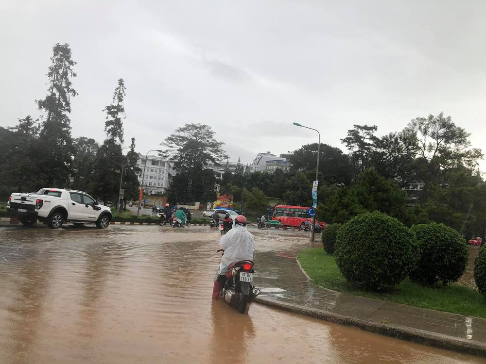 Chứng kiến cảnh Đà Lạt ngập nước, không ít cư dân mạng buồn bã cho biết phải hủy chuyến đi vì mưa lớn và ngập nặng.