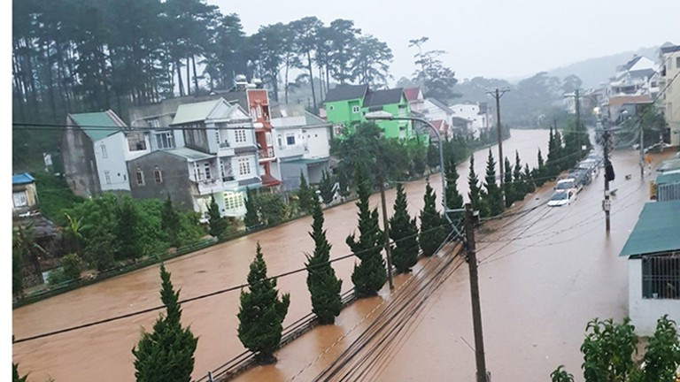 Bên cạnh đó, khách du lịch cần chú ý hơn trong việc di chuyển để đảm bảo an toàn cho bản thân trong những ngày Đà Lạt mưa lũ.