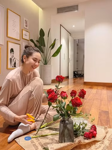 Mai Ngọc được công chúng nhớ đến khi là MC Dự Báo Thời Tiết xinh đẹp, tài năng của VTV. Sau đó, cô chuyển sang làm BTV Thời Sự trên kênh VTV1.