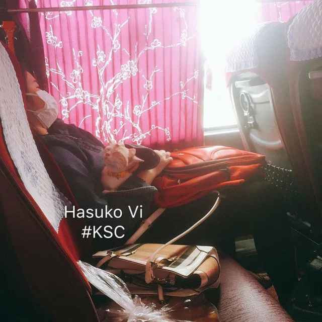 Cả boss lẫn sen đều ngủ trước khi được đón tiếp ở quê.