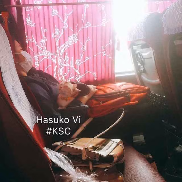 Cả boss lẫn sen đều ngủ trước khi được đón tiếp ở quê.