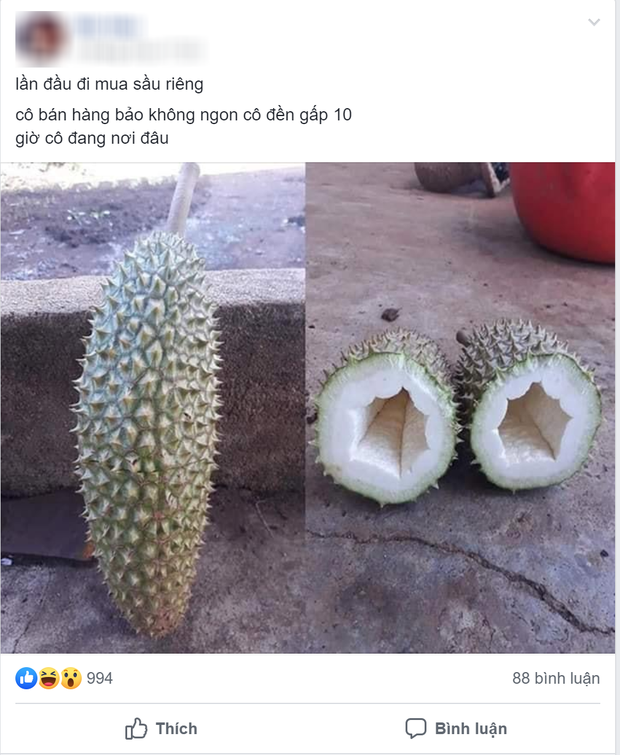 Trước đó, không ít trường hợp phải ôm hận khi mua sầu riêng. Điển hình như Facebook có tên N.H. Theo đó, cô gái kể lại: "Lần đầu đi mua sầu riêng. Cô bán hàng bảo không ngon cô đền gấp 10. Giờ cô đang nơi đâu?"