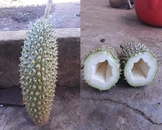 Đính kèm đó, khổ chủ chia sẻ cả bức ảnh trước và sau khi bổ sầu riêng. Ai nấy vô cùng sững sờ vì đúng là không hạt thật, nhưng kèm với đó còn không có múi.