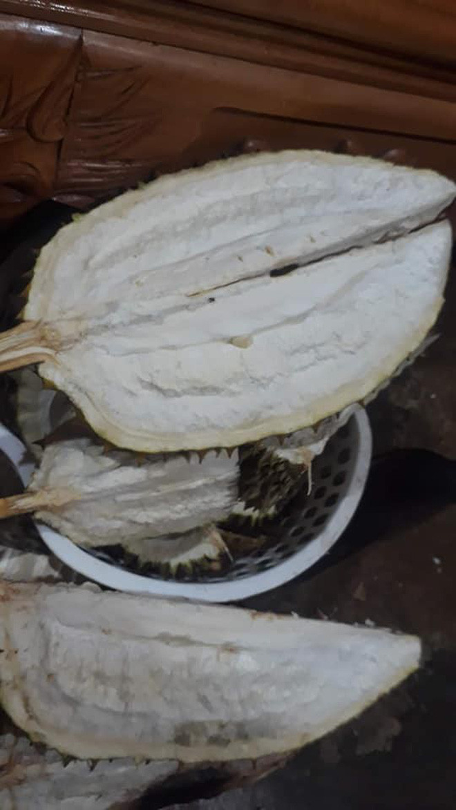 Theo kinh nghiệm của những "thánh sầu riêng" cho biết nếu bên trong không có gì quả sầu sẽ nhẹ, bị ộp và dễ nhận biết.