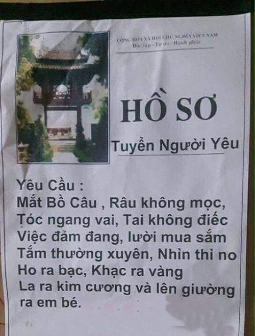 Hào cho biết, mục đích của việc tạo thông báo để vui đùa là chính. Cũng vì nhiều lần mẹ cứ giục cưới vợ, chàng trai đã thay mẹ tuyển con dâu luôn.