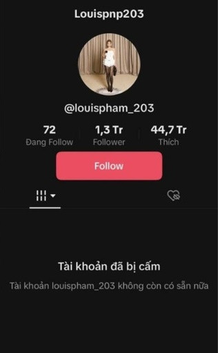 Về nội dung, loạt video của cô nàng vẫn còn nguyên, không có sự thay đổi gì. Tuy nhiên điều khiến nhiều người chú ý hơn là lượng theo dõi của Phạm Như Phương.