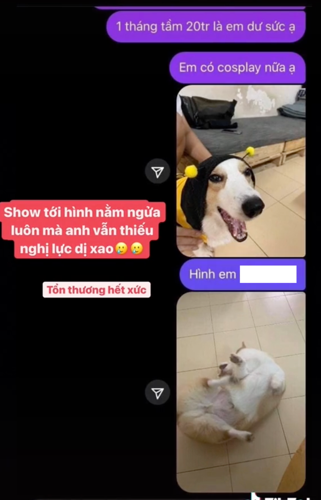 Đáng chú ý, sau khi người đàn ông ok với điều kiện của nữ chính "Ghép đôi thần tốc" và muốn xem ảnh chính chủ, cô liền gửi ngay hình "chân ngắn", "mông to" của chó cưng nhà mình qua.